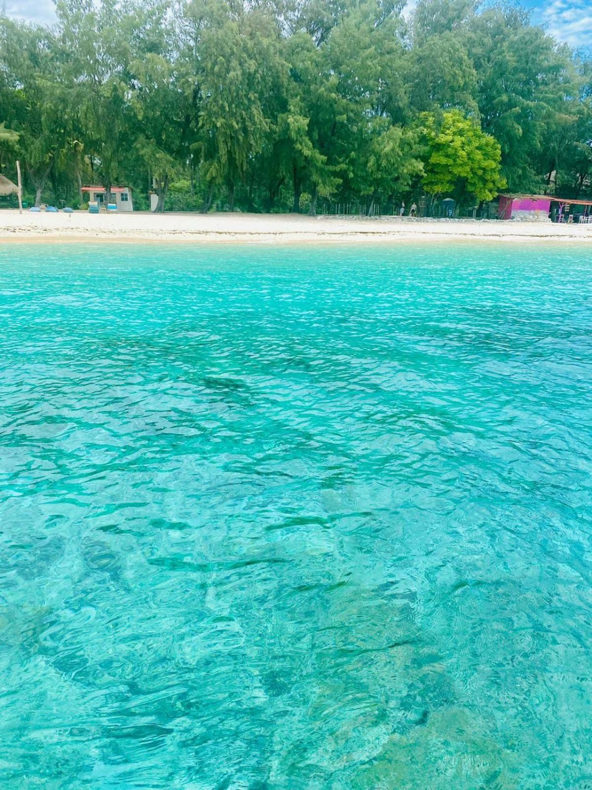 New Corals Apartment Quần đảo Gili Ngoại thất bức ảnh